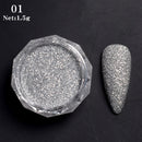 Nail Art Mirror Pigment Powder  Nail Glitters Metallic Color for Nail Art UV Gel Polishing Rose Gold Silver Colors