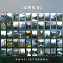 50pcs/plant landscape stationery stickers writable butterfly stickers bullet diary Korea stationery stickers aesthetics