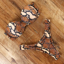 Animal Print Leopard Bikini Push Up Swimsuit Sexy Women Bikini Set 2021 Brazilian Thong Bathing Suit Bandeau Beach Wear Swimwear