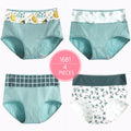 High Waist 4Pcs/Set Cotton Panties Women Body Shaper Fashion Briefs Underwear Breathable Comfort Female Lingerie Plus Size M-5XL