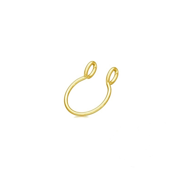 AIDE 8mm Segment Rings Nose Hoop Ear Piercing Tragus 925 Silver Nose Ring Ear Cartiliage Tragus Sexy Body Jewelry Piercing Nariz