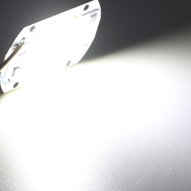 10Pcs/lot LED Chip Diode 110V 220V LED Lamp No Need Driver For Flood Light Spotlight LED Full Spectrum Plant growth Lamp chip