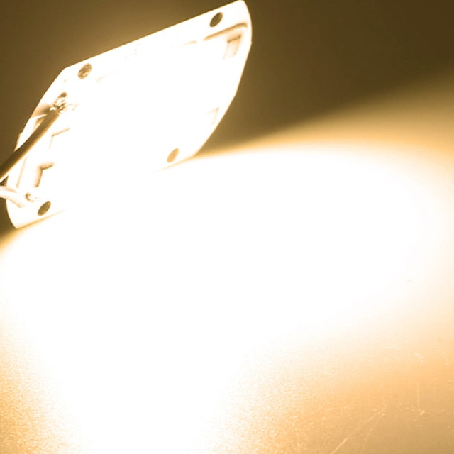 10Pcs/lot LED Chip Diode 110V 220V LED Lamp No Need Driver For Flood Light Spotlight LED Full Spectrum Plant growth Lamp chip