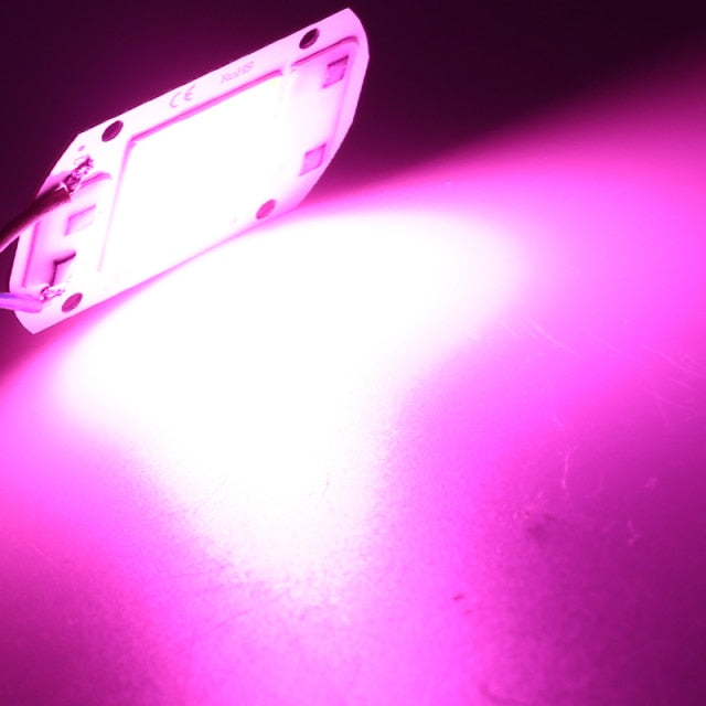 10Pcs/lot LED Chip Diode 110V 220V LED Lamp No Need Driver For Flood Light Spotlight LED Full Spectrum Plant growth Lamp chip