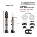 Deemount 40/60/80mm 2PCS Bicycle Tubeless Tire Presta Valve Brass Core Brass Stem W/ Alloy & Tool