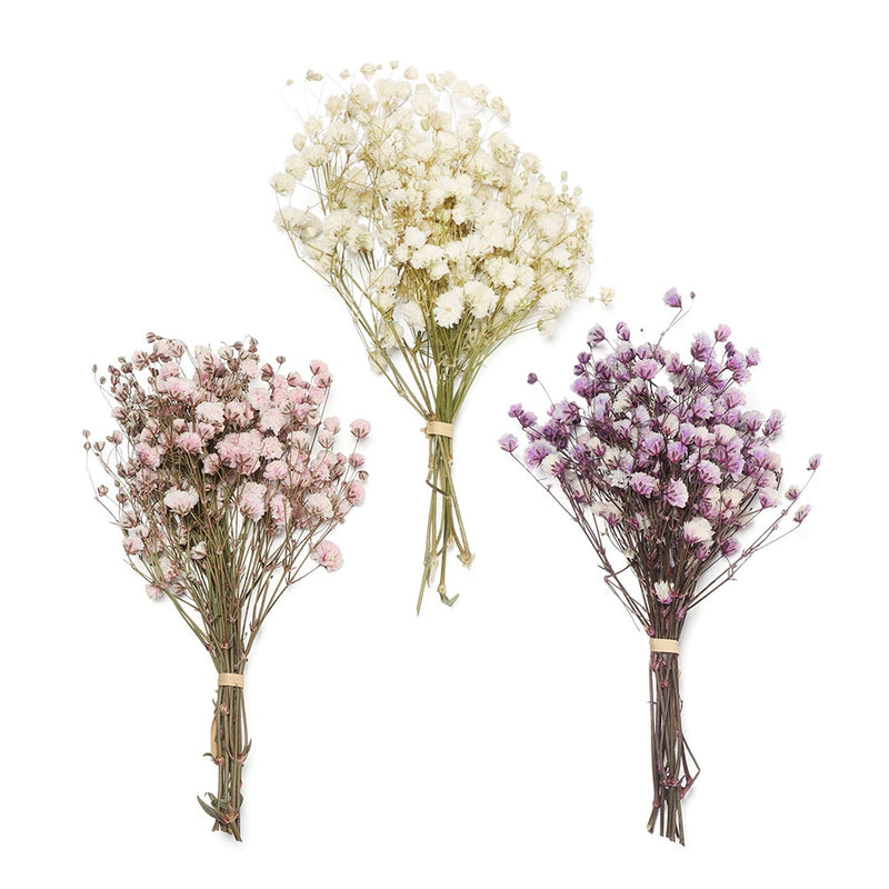 Mini Decorative Dried Flowers Babysbreath Flowers Bouquet Natural Plants preserve Floral for Wedding Home Decoration