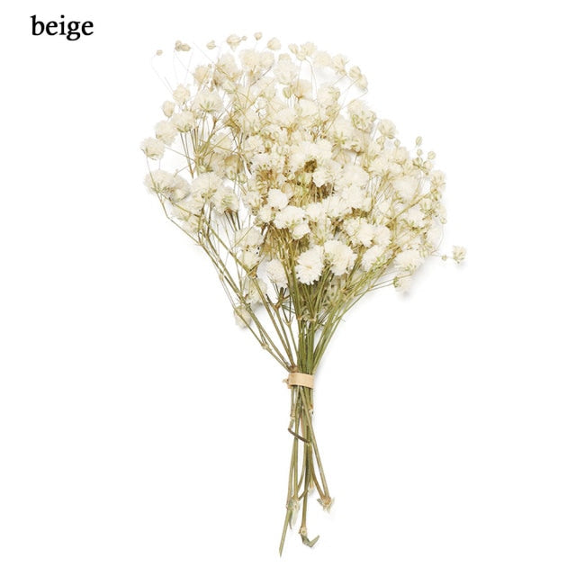 Mini Decorative Dried Flowers Babysbreath Flowers Bouquet Natural Plants preserve Floral for Wedding Home Decoration