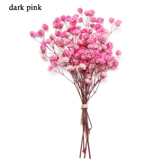 Mini Decorative Dried Flowers Babysbreath Flowers Bouquet Natural Plants preserve Floral for Wedding Home Decoration