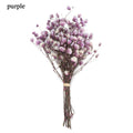 Mini Decorative Dried Flowers Babysbreath Flowers Bouquet Natural Plants preserve Floral for Wedding Home Decoration