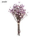 Mini Decorative Dried Flowers Babysbreath Flowers Bouquet Natural Plants preserve Floral for Wedding Home Decoration