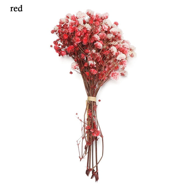 Mini Decorative Dried Flowers Babysbreath Flowers Bouquet Natural Plants preserve Floral for Wedding Home Decoration