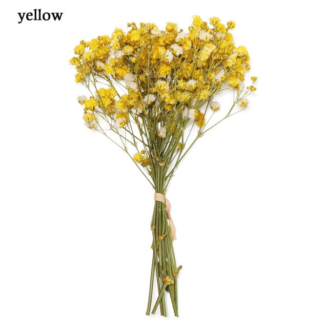 Mini Decorative Dried Flowers Babysbreath Flowers Bouquet Natural Plants preserve Floral for Wedding Home Decoration