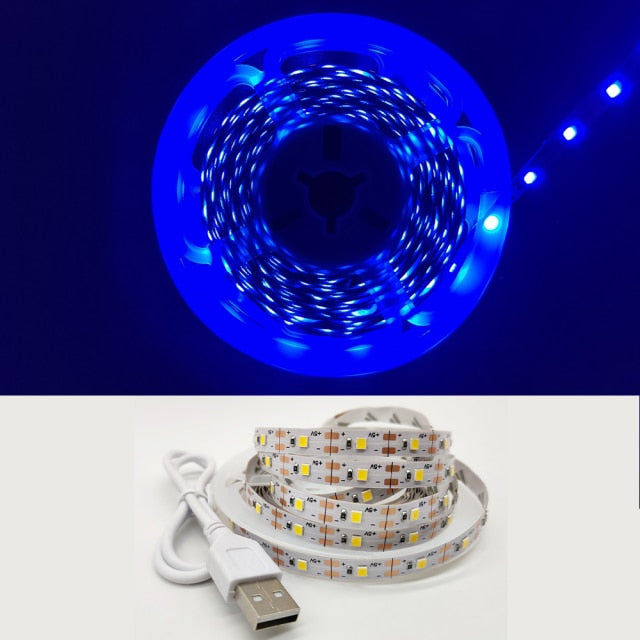 LED Light Strip luces USB Infrared Remote Control 5V RGB 2835 Flexible Lamp Tape Ribbon Diode For Festival Party TV Desk Bedroom