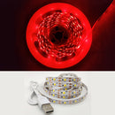 LED Light Strip luces USB Infrared Remote Control 5V RGB 2835 Flexible Lamp Tape Ribbon Diode For Festival Party TV Desk Bedroom