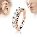 1 Pcs Piercing Nose Ring Expander Seamless Segment Ear Nose Hoops Gold Color Cz Tragus Cartilage Earrings Nostril Body Jewelry
