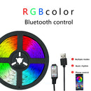 LED Strip Lights RGB 2835 Color Bluetooth USB IR Remote Flexible Lamp Tape Diode DC5V TV Backlights Night Lighting luces led 5M