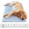 HOOPET  Pet Summer Cooling Mat Dog Summer Bed Cat Mat Mascotas Cama Perro Sofa for Dogs House
