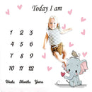 Baby Milestone Background Photo Blanket Infant Photography Backdrop Cloth Kids Photographic Calendar Photo Props Accessories