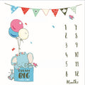 Baby Milestone Background Photo Blanket Infant Photography Backdrop Cloth Kids Photographic Calendar Photo Props Accessories