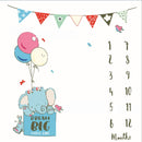 Baby Milestone Background Photo Blanket Infant Photography Backdrop Cloth Kids Photographic Calendar Photo Props Accessories