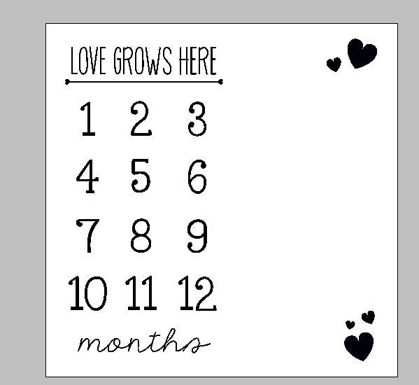 Baby Milestone Background Photo Blanket Infant Photography Backdrop Cloth Kids Photographic Calendar Photo Props Accessories