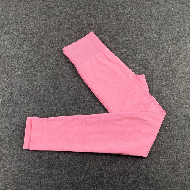 2 piece Seamless Gym Set Yoga Pants Clothing Bra Leggings Workout Shorts Sportswear Fitness Ensembles Sports Wear Women Outfits