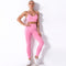 2 piece Seamless Gym Set Yoga Pants Clothing Bra Leggings Workout Shorts Sportswear Fitness Ensembles Sports Wear Women Outfits