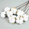 Naturally Dried Cotton Flowers White Home Decorative Artificial Floral Branch Wedding Bridesmaid Bouquet Decor Fake White Flower