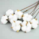 Naturally Dried Cotton Flowers White Home Decorative Artificial Floral Branch Wedding Bridesmaid Bouquet Decor Fake White Flower