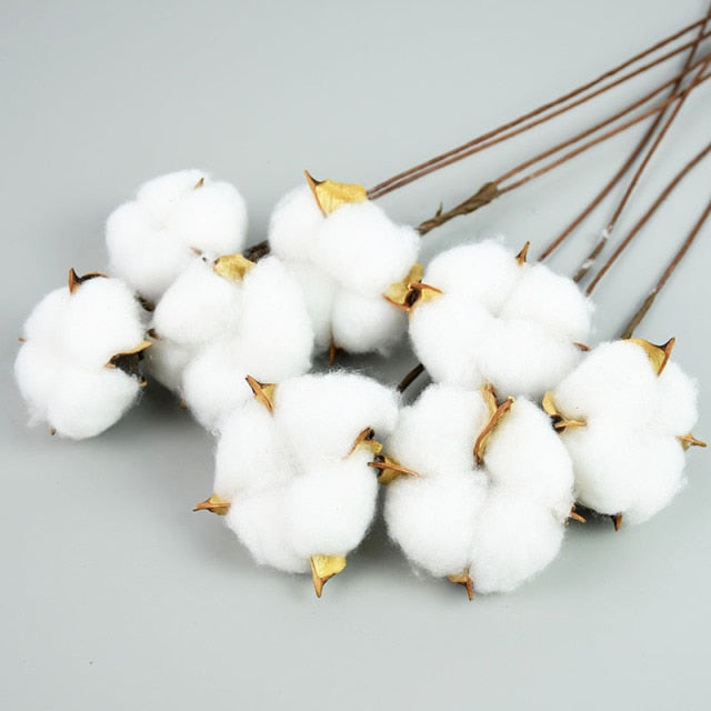 Naturally Dried Cotton Flowers White Home Decorative Artificial Floral Branch Wedding Bridesmaid Bouquet Decor Fake White Flower