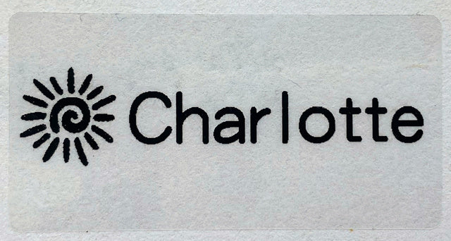 60pcs 50X25mm Name stickers Transparent Tag Sticker Customize Waterproof Personalized Labels logo kids office School Stationery