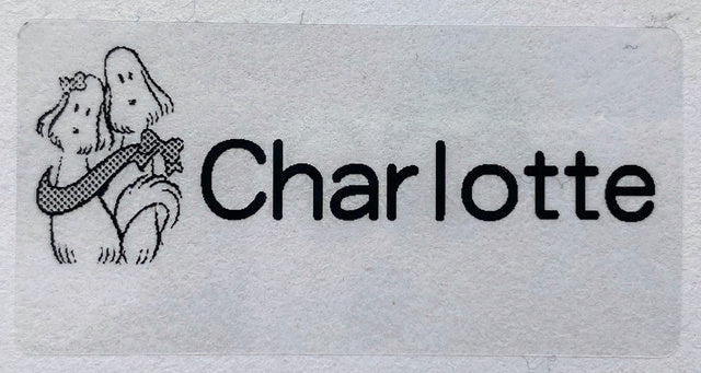 60pcs 50X25mm Name stickers Transparent Tag Sticker Customize Waterproof Personalized Labels logo kids office School Stationery