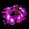 1.5m 10Led Halloween Pumpkin Ghost Skeletons Bat Spider Led Light String Festival Bar Home Party Decor Christmas Ornament