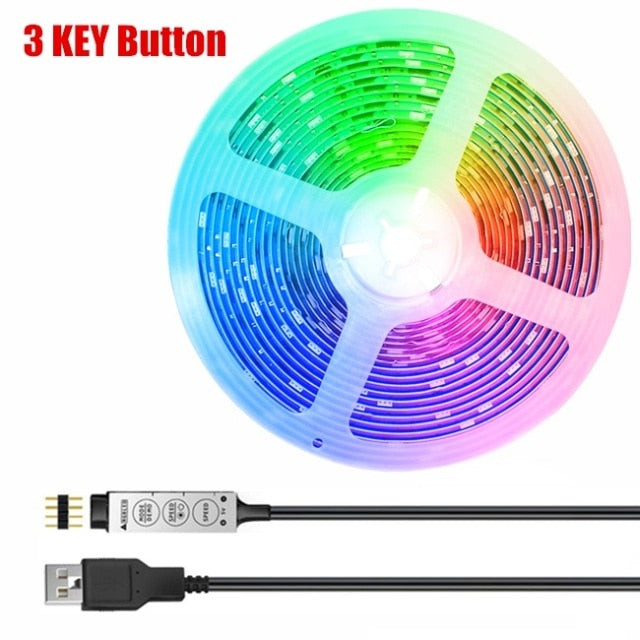 RGB LED Strip Light Flexible Decoration Diode Lamp String Remote Controller For Bedroom Background TV Ribbon USB Decor Lighting