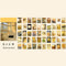 JIANWU 50 Sheets Wish Life Series Cute Stickers Art Decoration Paper Stickers DIY Material Paper DIY Journal School Supplies
