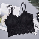 New Arrival Women Push Up Wireless Lace Bra Top Women Plus Size Bralette Underwear Lingerie Full Cup