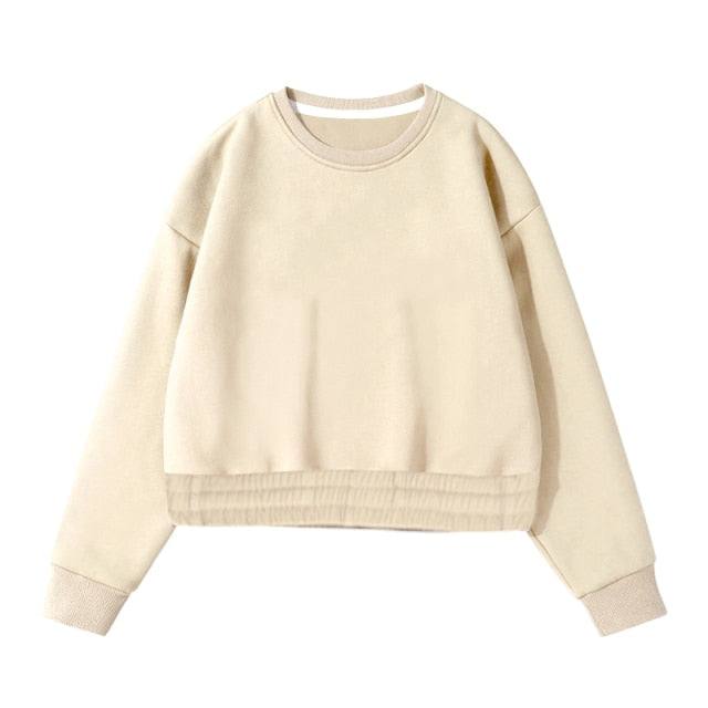 Aachoae Women Couple Hoodies Sweatshirt Fleece 100% Cotton Tracksuit Sports Sweatshirt 2021 Winter Japanese Casual Loose Jumper