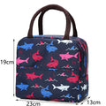 New Portable Lunch Bag New Thermal Insulated Lunch Box Tote Cooler Handbag Lunch Bags For Women Convenient Box Tote Food Bags