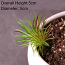 Green Artificial Succulents Plants Home Garden Bedroom Balcony Desktop Table Mini Bonsai Wedding Party Decoration Fake Plants