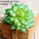 Green Artificial Succulents Plants Home Garden Bedroom Balcony Desktop Table Mini Bonsai Wedding Party Decoration Fake Plants