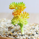 Green Artificial Succulents Plants Home Garden Bedroom Balcony Desktop Table Mini Bonsai Wedding Party Decoration Fake Plants