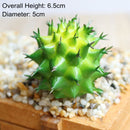 Green Artificial Succulents Plants Home Garden Bedroom Balcony Desktop Table Mini Bonsai Wedding Party Decoration Fake Plants
