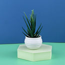 Mini Artificial Aloe Plants Bonsai Small Simulated Tree Pot Plants Fake Flowers Office Table Potted Ornaments Home Garden Decor
