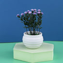 Mini Artificial Aloe Plants Bonsai Small Simulated Tree Pot Plants Fake Flowers Office Table Potted Ornaments Home Garden Decor