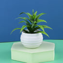 Mini Artificial Aloe Plants Bonsai Small Simulated Tree Pot Plants Fake Flowers Office Table Potted Ornaments Home Garden Decor
