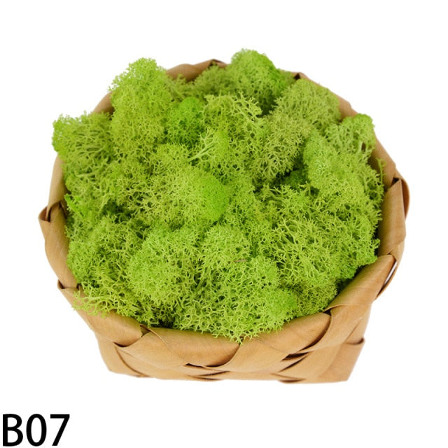 20g High Quality Artificial Moss Immortal Moss Simulation Green Plant Grass Home Decorative Wall DIY Micro Landscape Accessories