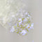 10g Holographic AB Nail Glitter Flakes Shell Sparkly Sequins Irregular Paillette DIY Gel Polish Manicure Nail Art Decorations