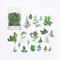 Mohamm 40sheets Plant Flowers Mini Scrapbooking Stickers Aesthetic Paper Sticker Flakes Stationary Office Accessorie Art Supplie