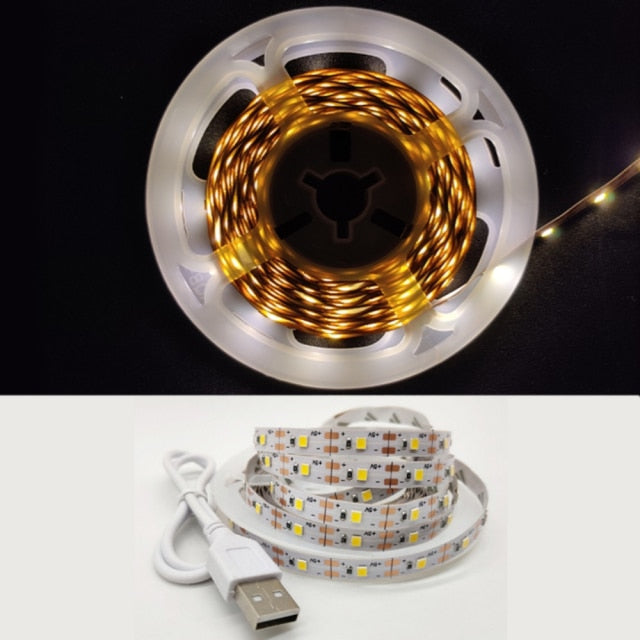 LED Light Strip luces USB Infrared Remote Control 5V RGB 2835 Flexible Lamp Tape Ribbon Diode For Festival Party TV Desk Bedroom