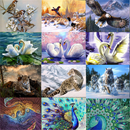 Diamond Painting 5D DIY Full Round Peacock Wolf Swan Diamond Embroidery Mosaic Animal Picture Cross Stitch Home Decoration Art